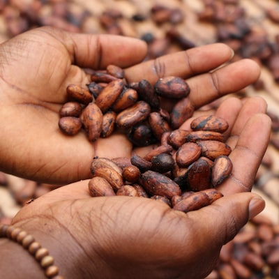 UNT de CACAO natural nerafinat
