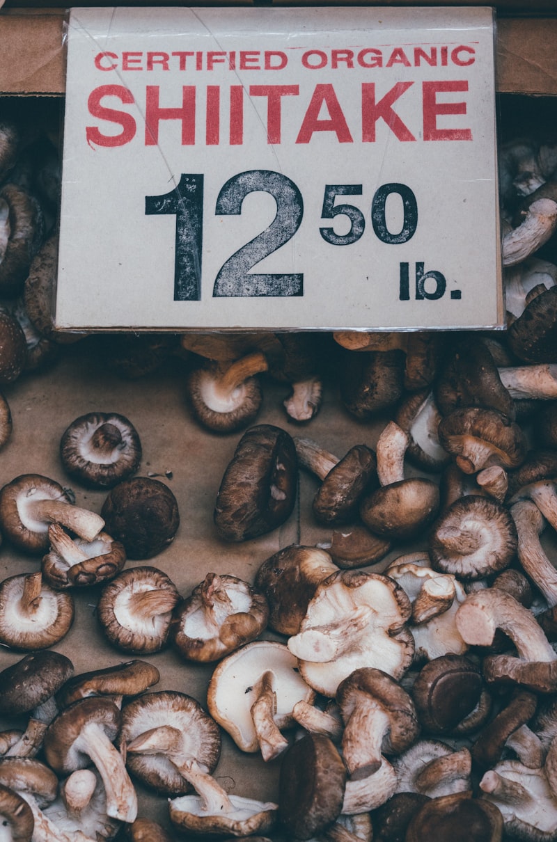 Ciuperci SHIITAKE uscate