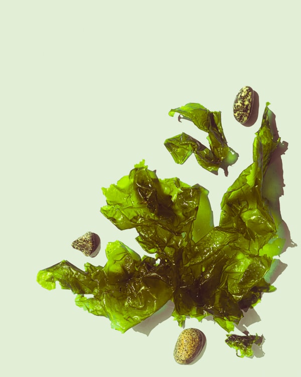 SNACK chips din alge NORI cu Wasabi