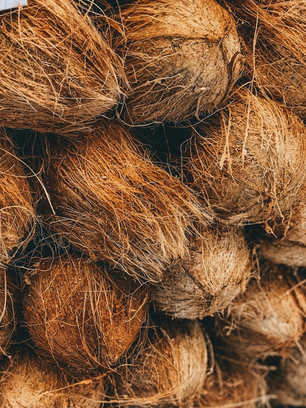 COCOS RĂZUIT medium 65%