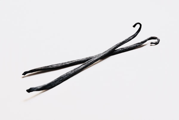 PĂSTAIE de VANILIE Bourbon 18-20 cm