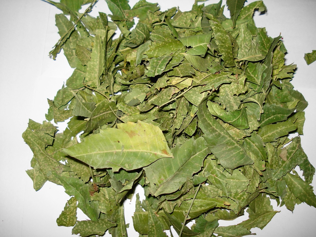 Hecure NEEM PLUS (benefic pentru sănătatea pielii)