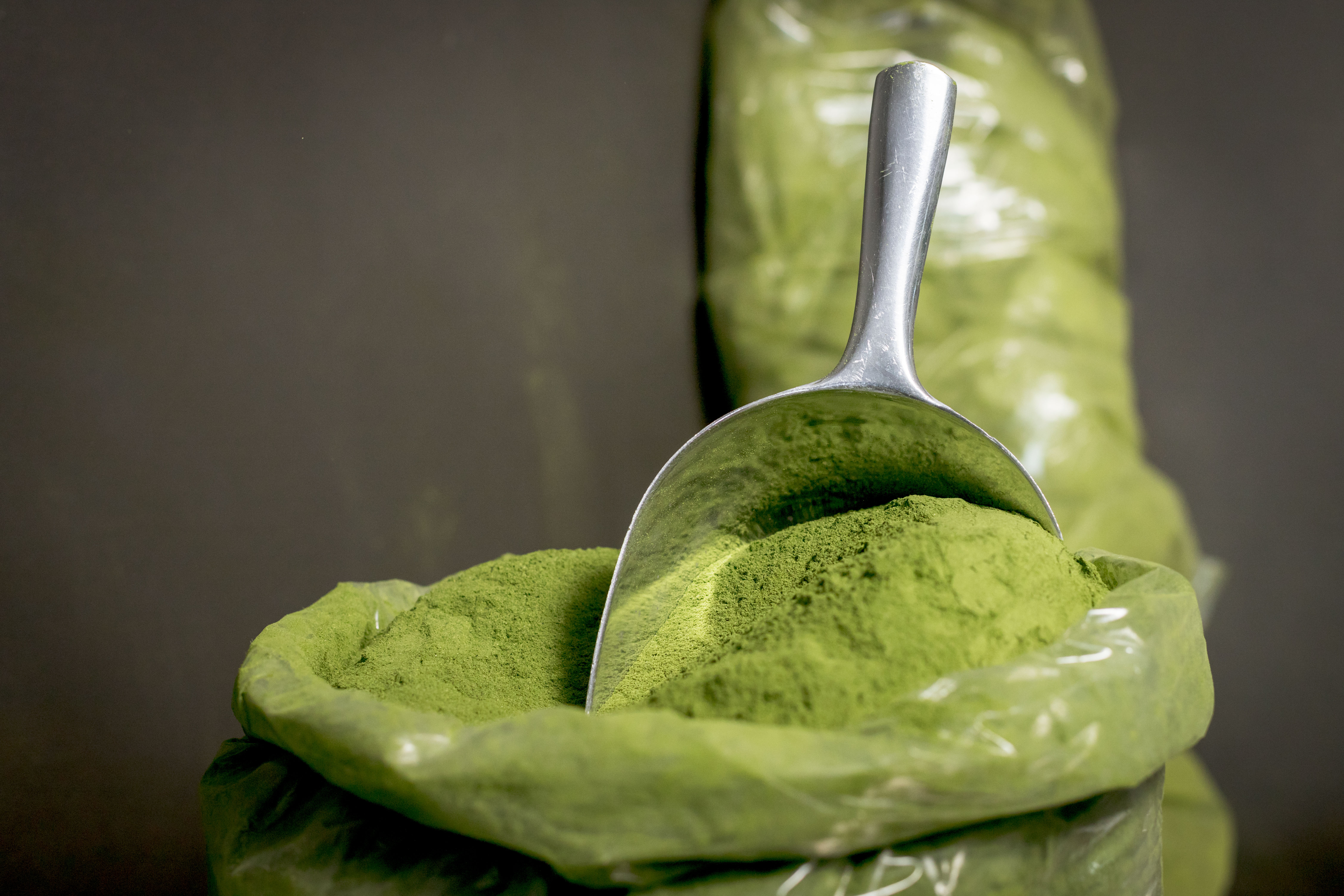 MORINGA pulbere