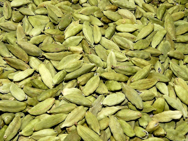 CARDAMOM